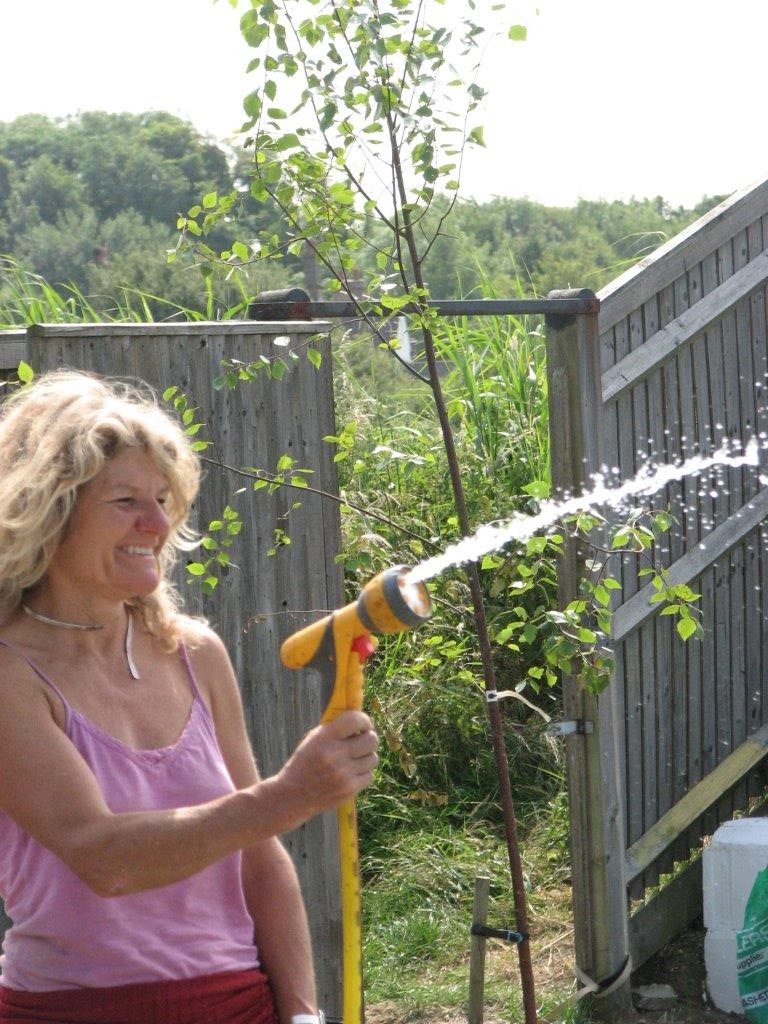 Photo - A spot of watering!